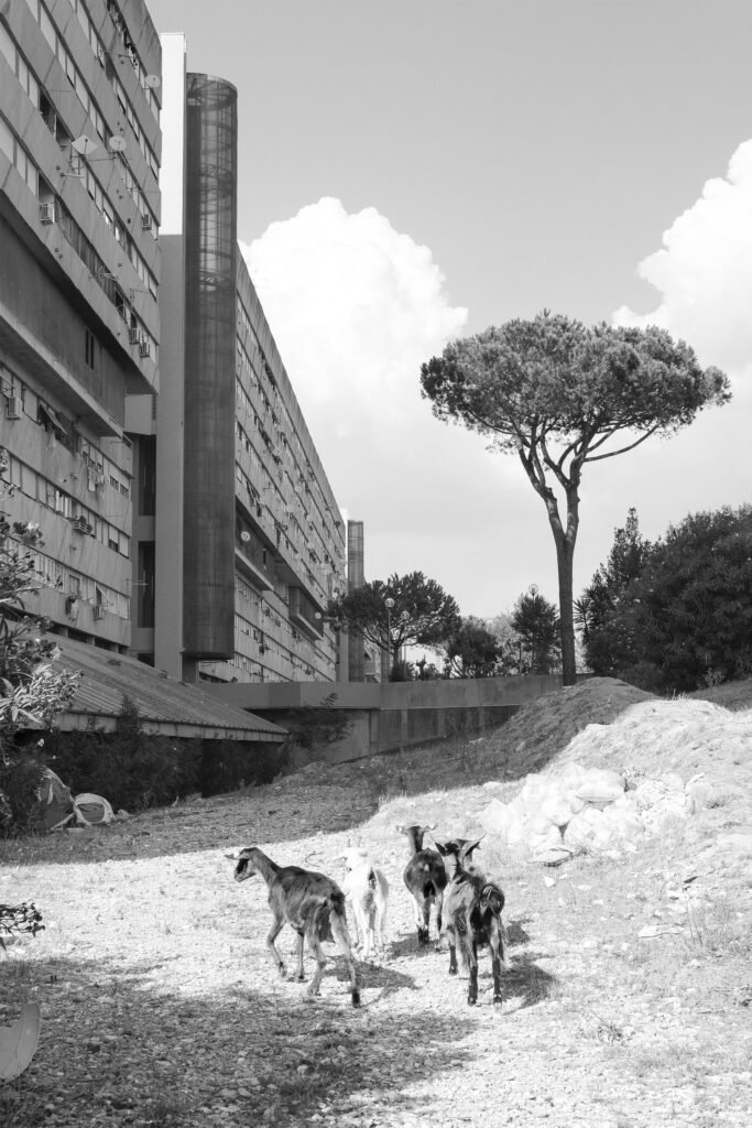 corviale 02